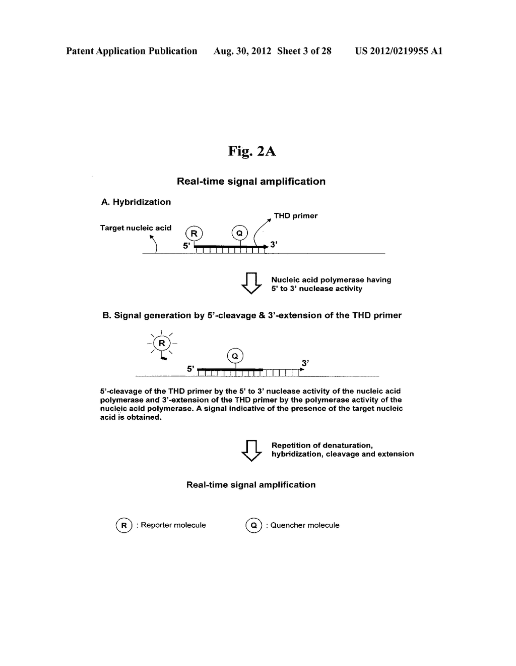 THD PRIMER TARGET DETECTION - diagram, schematic, and image 04