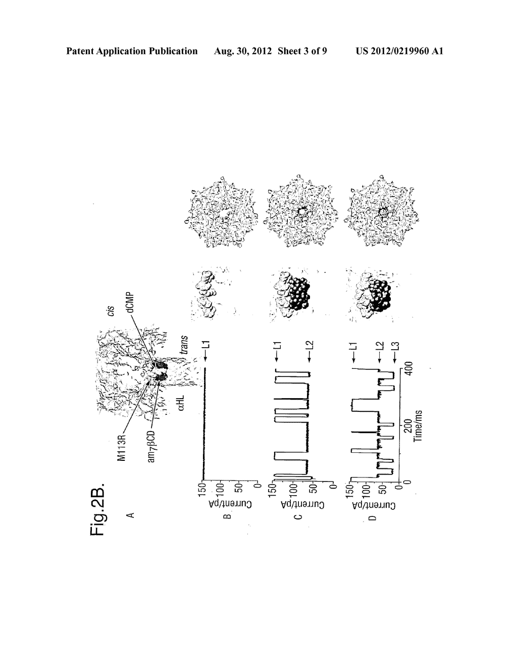 METHODS USING PORES - diagram, schematic, and image 04