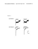 CHOLINERGIC/SEROTONINERGIC RECEPTOR AND USES THEREOF diagram and image