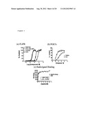 CHOLINERGIC/SEROTONINERGIC RECEPTOR AND USES THEREOF diagram and image