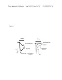 CHOLINERGIC/SEROTONINERGIC RECEPTOR AND USES THEREOF diagram and image