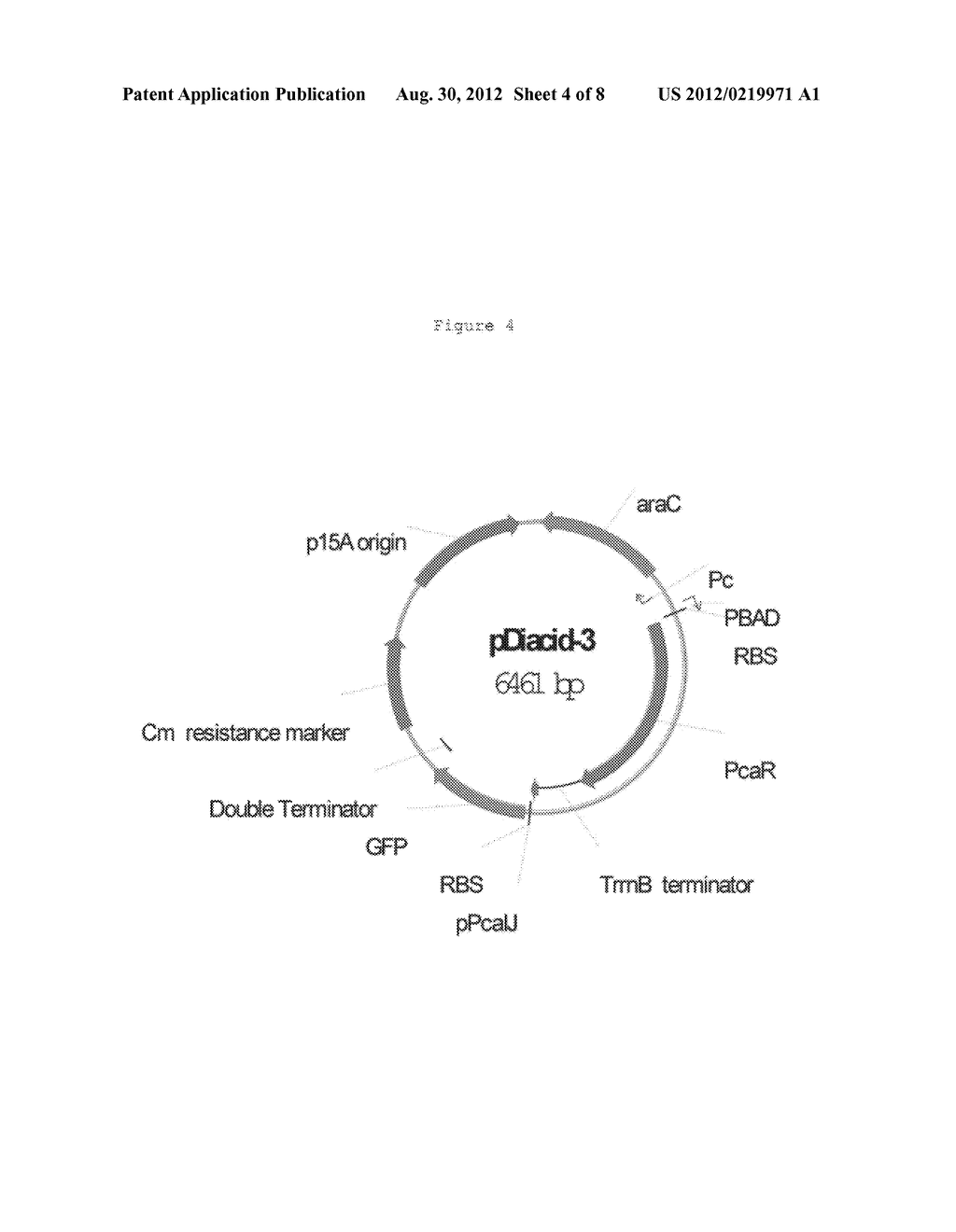 TRANSCRIPTION FACTOR-BASED BIOSENSORS FOR DETECTING DICARBOXYLIC ACIDS - diagram, schematic, and image 05