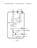 STRAINS OF ESCHERICHIA COLI MODIFIED BY METABOLIC ENGINEERING TO PRODUCE     CHEMICAL COMPOUNDS FROM HYDROLYZED LIGNOCELLULOSE, PENTOSES, HEXOSES AND     OTHER CARBON SOURCES diagram and image