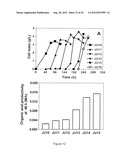 STRAINS OF ESCHERICHIA COLI MODIFIED BY METABOLIC ENGINEERING TO PRODUCE     CHEMICAL COMPOUNDS FROM HYDROLYZED LIGNOCELLULOSE, PENTOSES, HEXOSES AND     OTHER CARBON SOURCES diagram and image