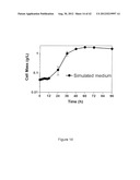 STRAINS OF ESCHERICHIA COLI MODIFIED BY METABOLIC ENGINEERING TO PRODUCE     CHEMICAL COMPOUNDS FROM HYDROLYZED LIGNOCELLULOSE, PENTOSES, HEXOSES AND     OTHER CARBON SOURCES diagram and image