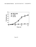 STRAINS OF ESCHERICHIA COLI MODIFIED BY METABOLIC ENGINEERING TO PRODUCE     CHEMICAL COMPOUNDS FROM HYDROLYZED LIGNOCELLULOSE, PENTOSES, HEXOSES AND     OTHER CARBON SOURCES diagram and image