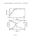 STRAINS OF ESCHERICHIA COLI MODIFIED BY METABOLIC ENGINEERING TO PRODUCE     CHEMICAL COMPOUNDS FROM HYDROLYZED LIGNOCELLULOSE, PENTOSES, HEXOSES AND     OTHER CARBON SOURCES diagram and image