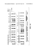 HYDROGEN PRODUCTION FROM MICROBIAL STRAINS diagram and image