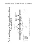 UNSTRUCTURED RECOMBINANT POLYMERS AND USES THEREOF diagram and image