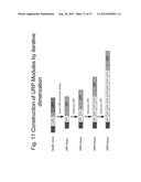 UNSTRUCTURED RECOMBINANT POLYMERS AND USES THEREOF diagram and image