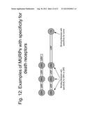 UNSTRUCTURED RECOMBINANT POLYMERS AND USES THEREOF diagram and image