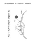 UNSTRUCTURED RECOMBINANT POLYMERS AND USES THEREOF diagram and image