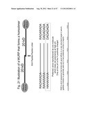 UNSTRUCTURED RECOMBINANT POLYMERS AND USES THEREOF diagram and image