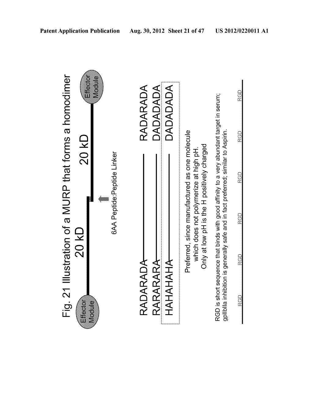 UNSTRUCTURED RECOMBINANT POLYMERS AND USES THEREOF - diagram, schematic, and image 22