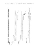 UNSTRUCTURED RECOMBINANT POLYMERS AND USES THEREOF diagram and image