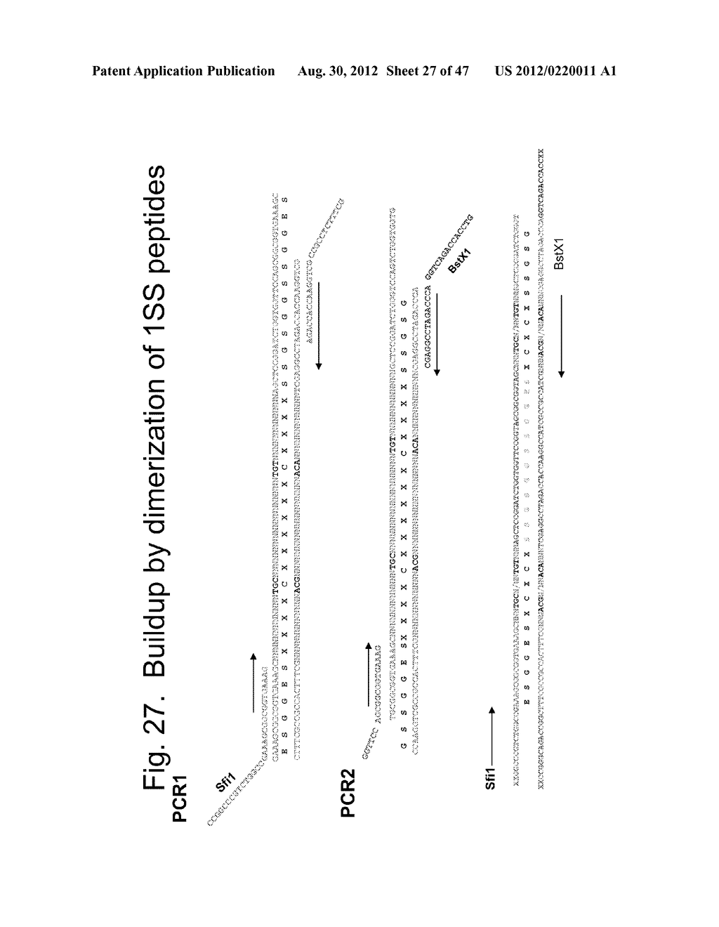 UNSTRUCTURED RECOMBINANT POLYMERS AND USES THEREOF - diagram, schematic, and image 28