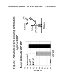 UNSTRUCTURED RECOMBINANT POLYMERS AND USES THEREOF diagram and image