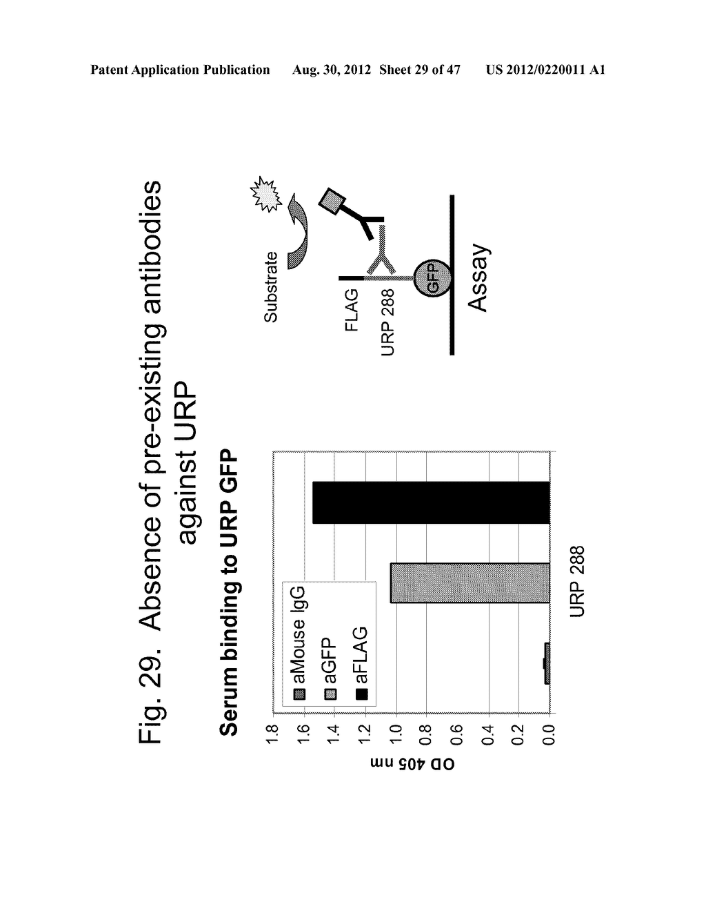 UNSTRUCTURED RECOMBINANT POLYMERS AND USES THEREOF - diagram, schematic, and image 30