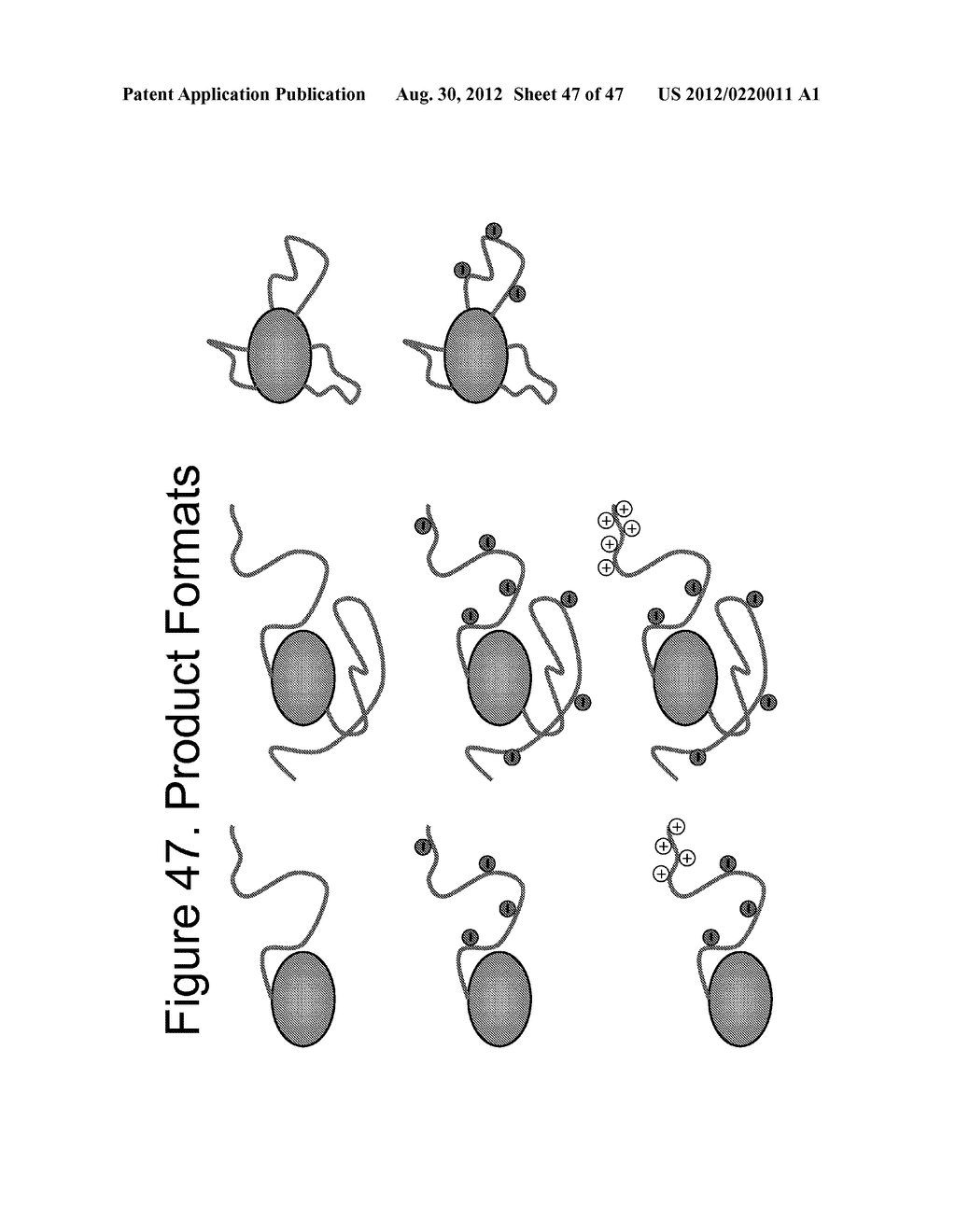 UNSTRUCTURED RECOMBINANT POLYMERS AND USES THEREOF - diagram, schematic, and image 48