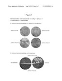 NOVEL POLYPEPTIDE HAVING ESTERASE ACTIVITY AND RECOMBINANT ESTERASE AND     USE THEREOF diagram and image