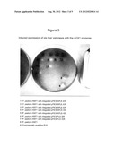 NOVEL POLYPEPTIDE HAVING ESTERASE ACTIVITY AND RECOMBINANT ESTERASE AND     USE THEREOF diagram and image