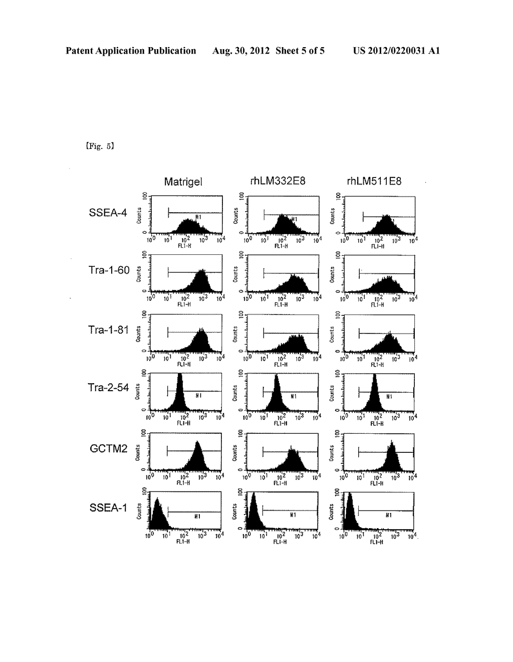 CULTURE SUBSTRATE FOR HUMAN PLURIPOTENT STEM CELLS AND USE THEREOF - diagram, schematic, and image 06