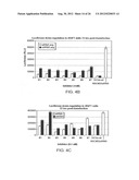 INHIBITION OF VIRAL GENE EXPRESSION USING SMALL INTERFERING RNA diagram and image