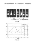 INHIBITION OF VIRAL GENE EXPRESSION USING SMALL INTERFERING RNA diagram and image