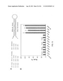 INHIBITION OF VIRAL GENE EXPRESSION USING SMALL INTERFERING RNA diagram and image