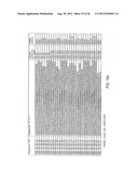 INHIBITION OF VIRAL GENE EXPRESSION USING SMALL INTERFERING RNA diagram and image