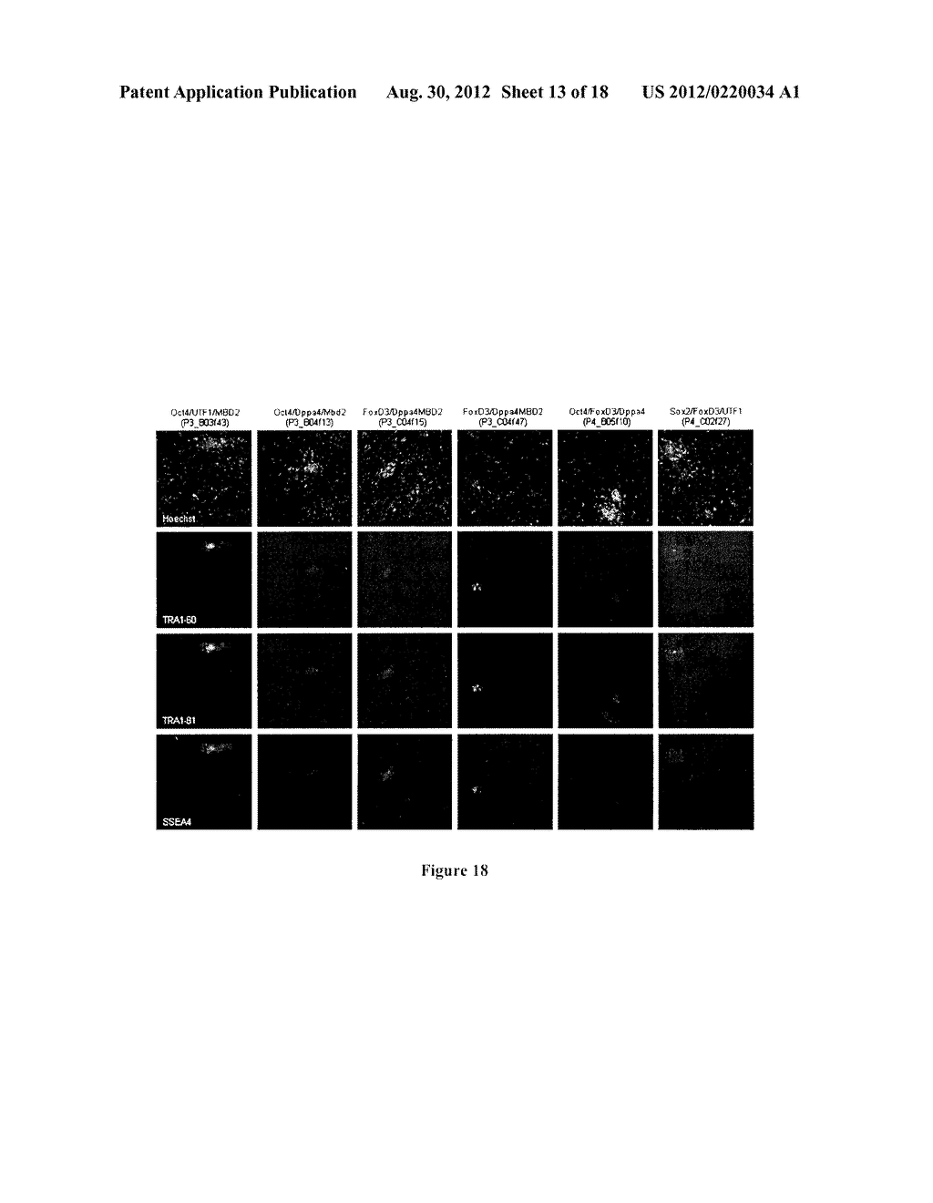 Methods for Reprogramming Cells and Uses Thereof - diagram, schematic, and image 14