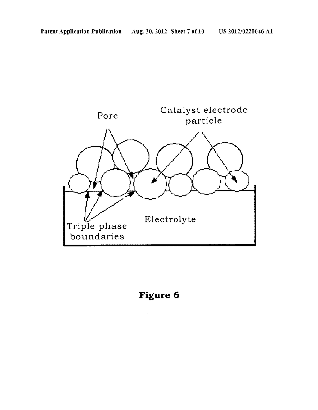 Method and apparatus for forming the doped cryo-biology specimen of     electron microscope - diagram, schematic, and image 08