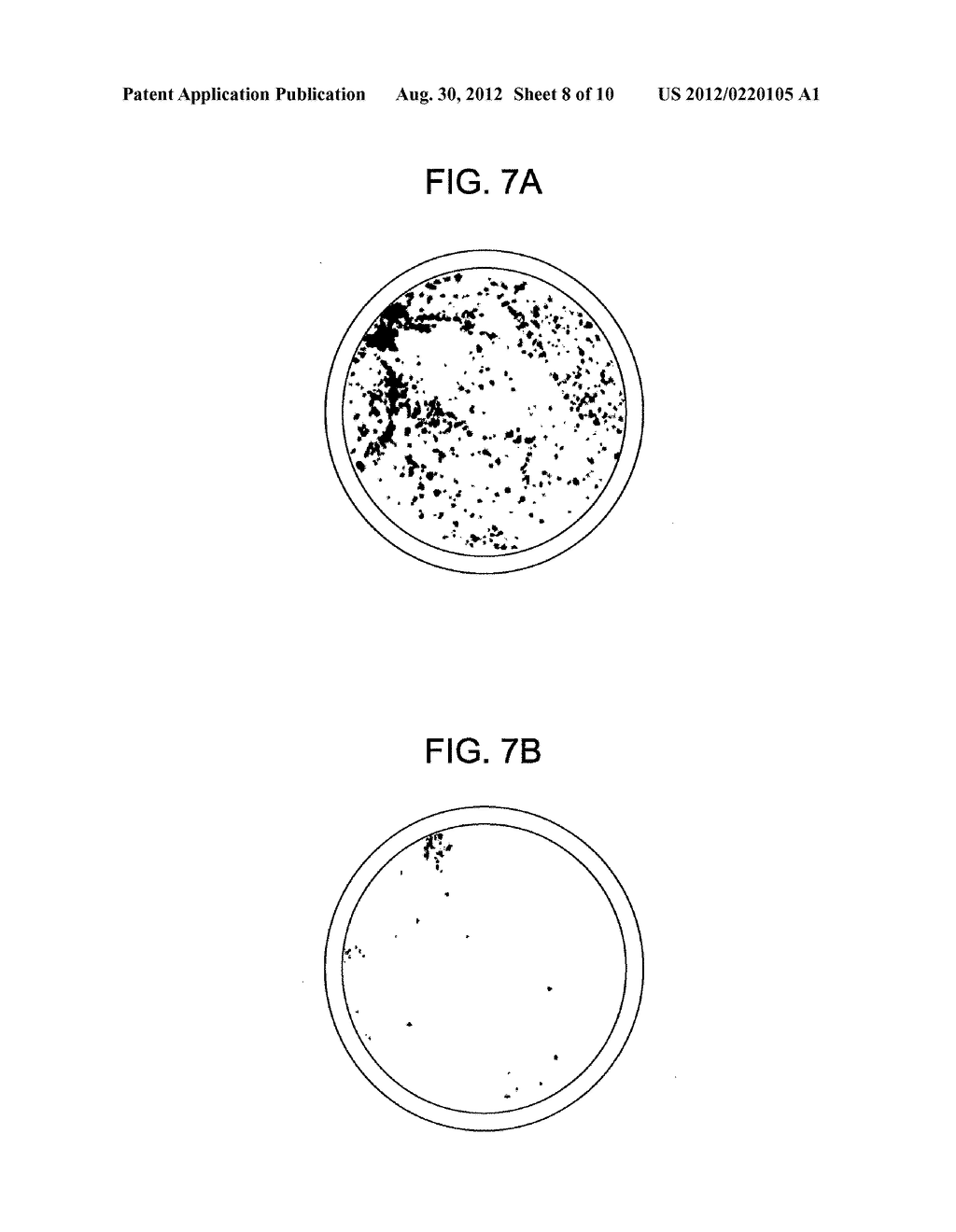 METHOD OF MANUFACTURING SEMICONDUCTOR DEVICE AND METHOD OF CLEANING     SEMICONDUCTOR SUBSTRATE - diagram, schematic, and image 09