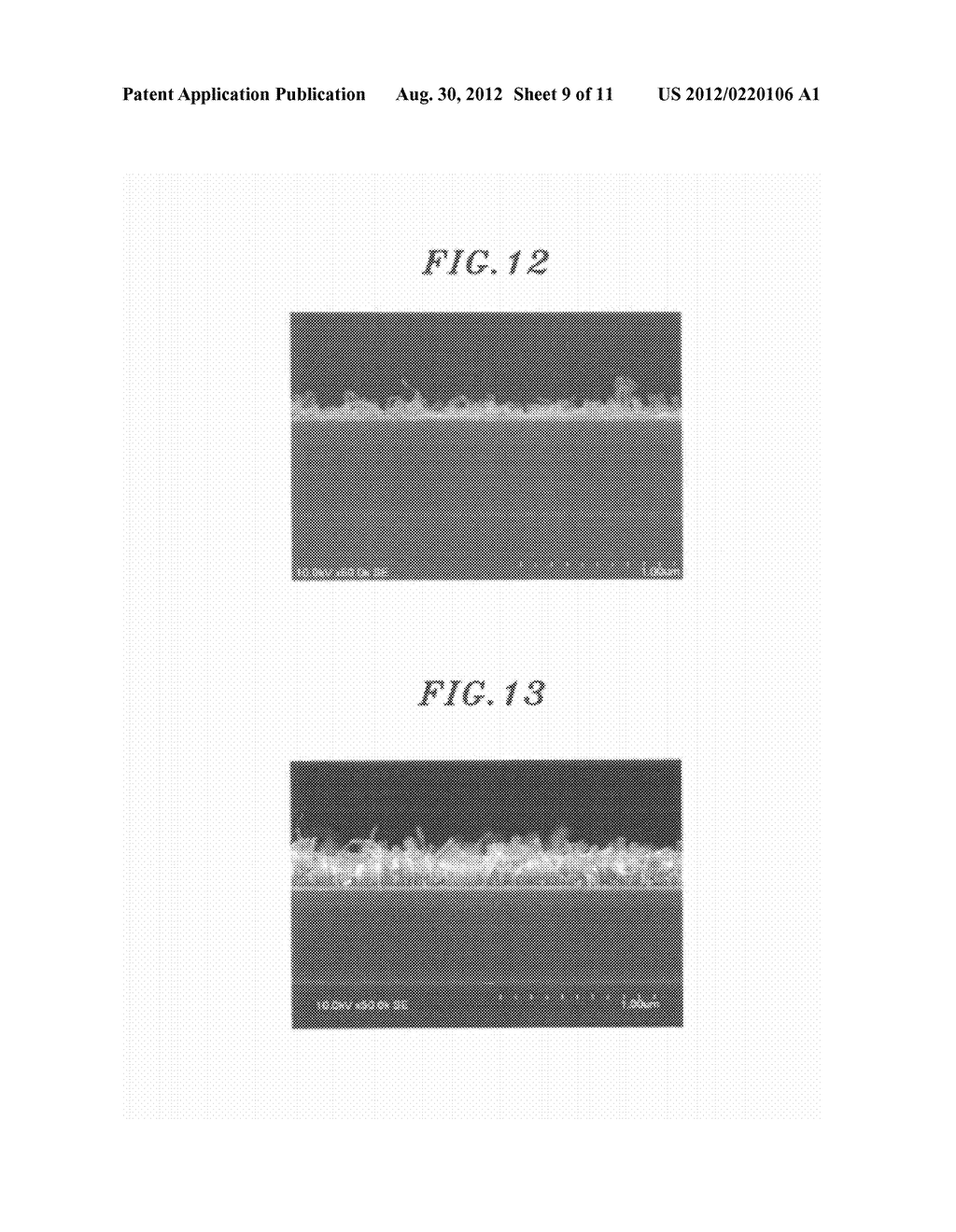 CARBON NANOTUBE FORMING METHOD  AND PRE-TREATMENT METHOD THEREFOR - diagram, schematic, and image 10