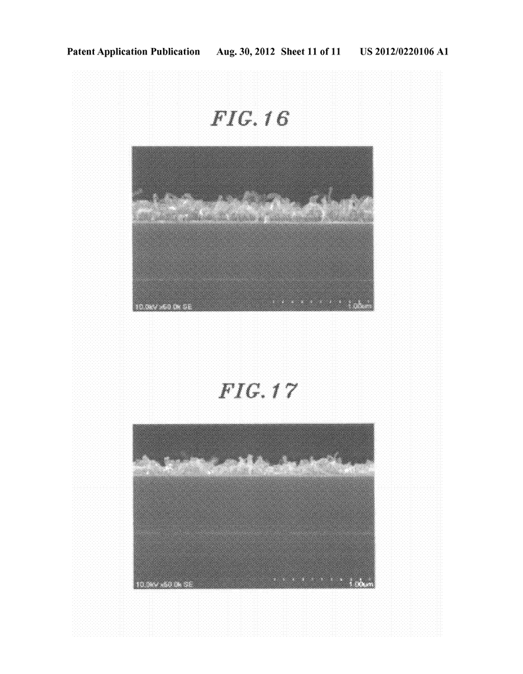 CARBON NANOTUBE FORMING METHOD  AND PRE-TREATMENT METHOD THEREFOR - diagram, schematic, and image 12