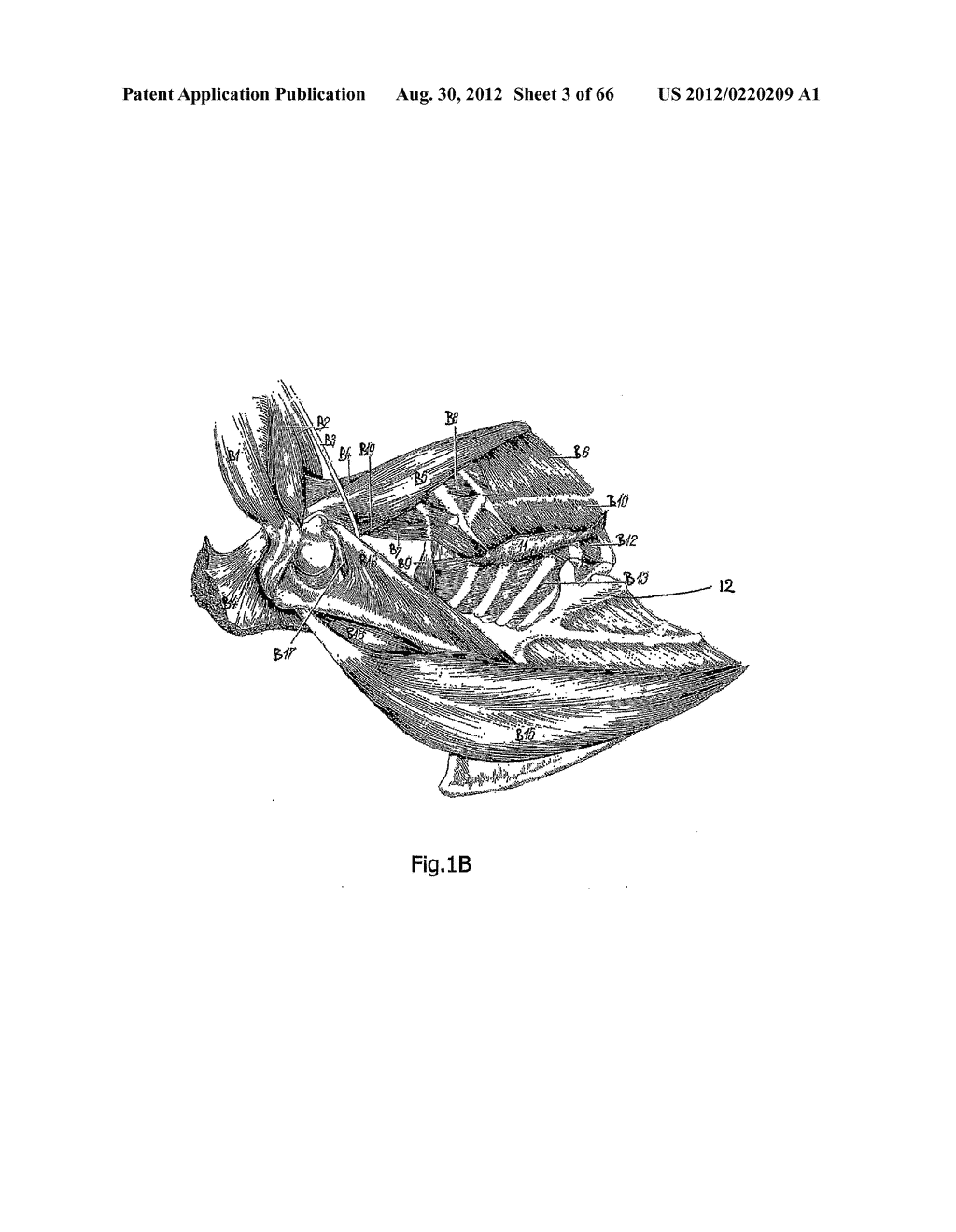 METHOD AND DEVICE FOR PROCESSING A CARCASS PART OF SLAUGHTERED POULTRY - diagram, schematic, and image 04