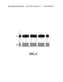 Near Field Communication Apparatus and Method for Supporting Security     Modules diagram and image