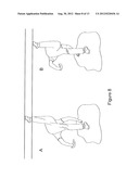 Resistance Training Device and Method of Use diagram and image