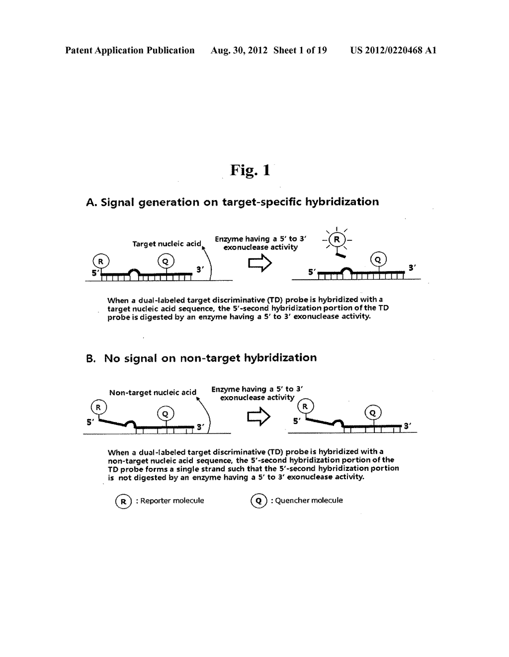 TD PROBE AND ITS USES - diagram, schematic, and image 02