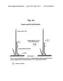 TD PROBE AND ITS USES diagram and image