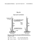 TD PROBE AND ITS USES diagram and image