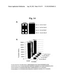 TD PROBE AND ITS USES diagram and image