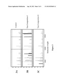 TOXICITY TYPING USING LIVER STEM CELLS diagram and image