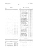 PROBE SET AND METHOD FOR IDENTIFYING HLA ALLELE diagram and image