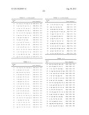 PROBE SET AND METHOD FOR IDENTIFYING HLA ALLELE diagram and image