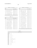 PROBE SET AND METHOD FOR IDENTIFYING HLA ALLELE diagram and image