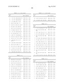 PROBE SET AND METHOD FOR IDENTIFYING HLA ALLELE diagram and image