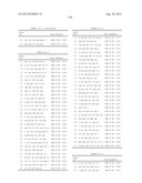 PROBE SET AND METHOD FOR IDENTIFYING HLA ALLELE diagram and image