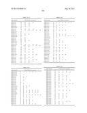 PROBE SET AND METHOD FOR IDENTIFYING HLA ALLELE diagram and image