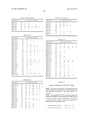 PROBE SET AND METHOD FOR IDENTIFYING HLA ALLELE diagram and image